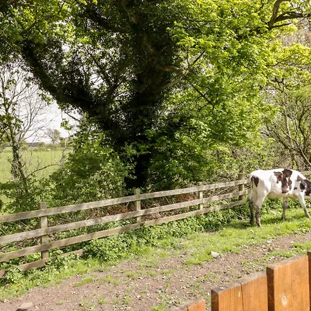 Ferienhaus The Old Bothy Wigton